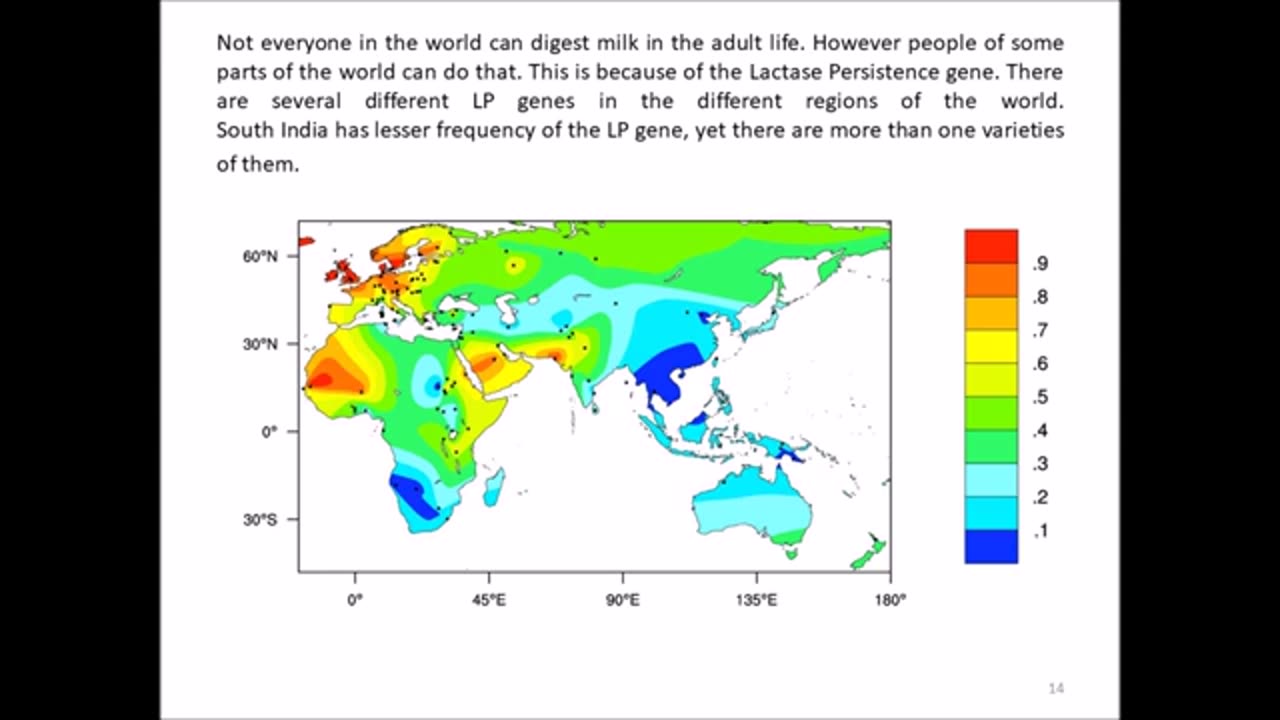 Migration of White Skin gene & Milk Digestion gene from India to Europe DNA studies - P. Priyadarshi