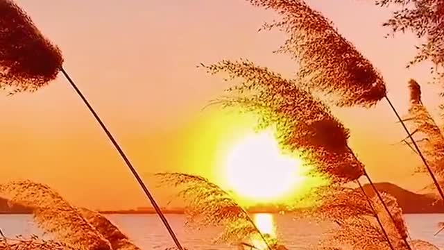Enjoy the beauty of nature together