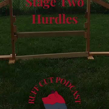 Hurdles Sit to Jump C