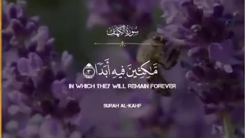 Surat al kahf