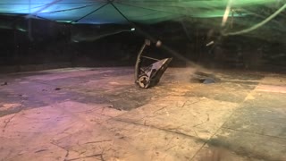 RoboRiots BT Young Scientist Dublin 2020: Heavyweight Final Beast Vs Immersion