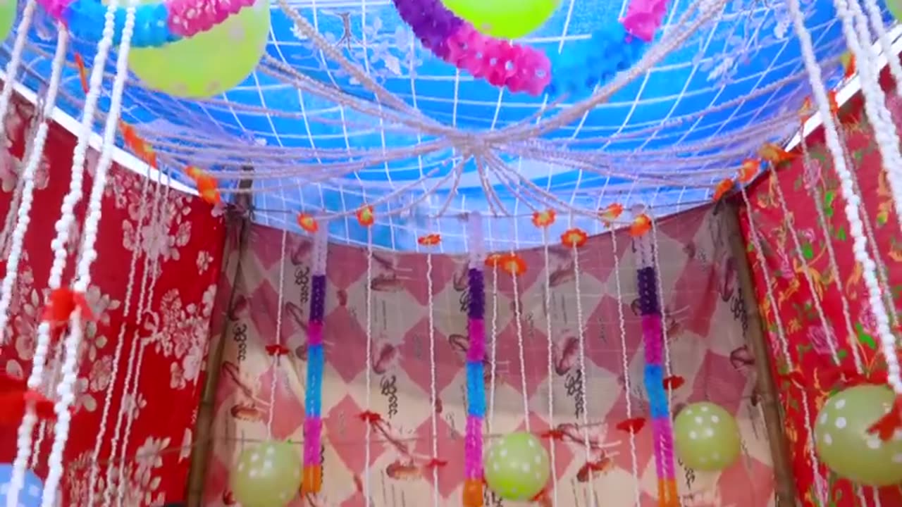 Funy entertainment video
