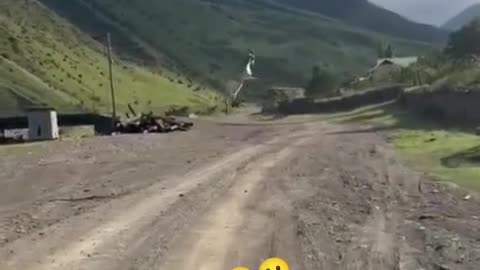 Amazing Funny Goat 🐐