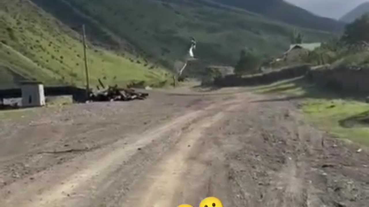 Amazing Funny Goat 🐐