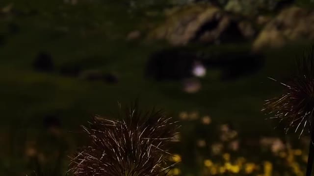 amazing view in the night