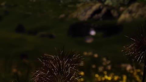 amazing view in the night