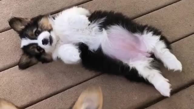 I'm too full to get up