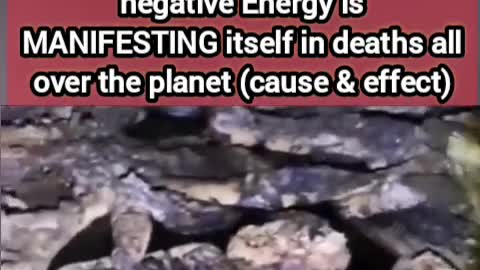 China-Underground-Bodies of Children Found