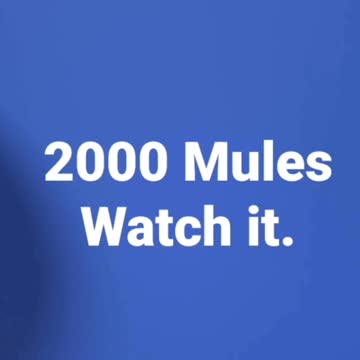 Everybody Watching 2000 Mules!