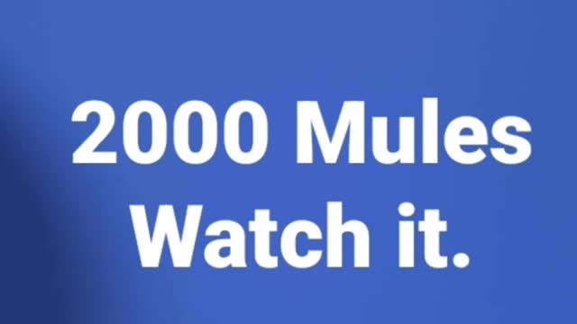 Everybody Watching 2000 Mules!