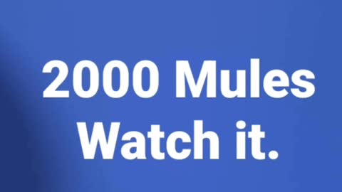 Everybody Watching 2000 Mules!