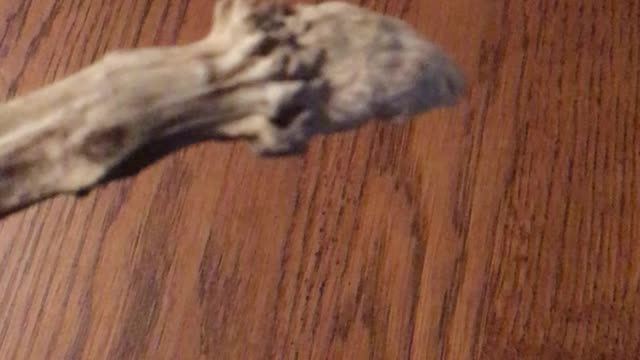 Upside down deer antler