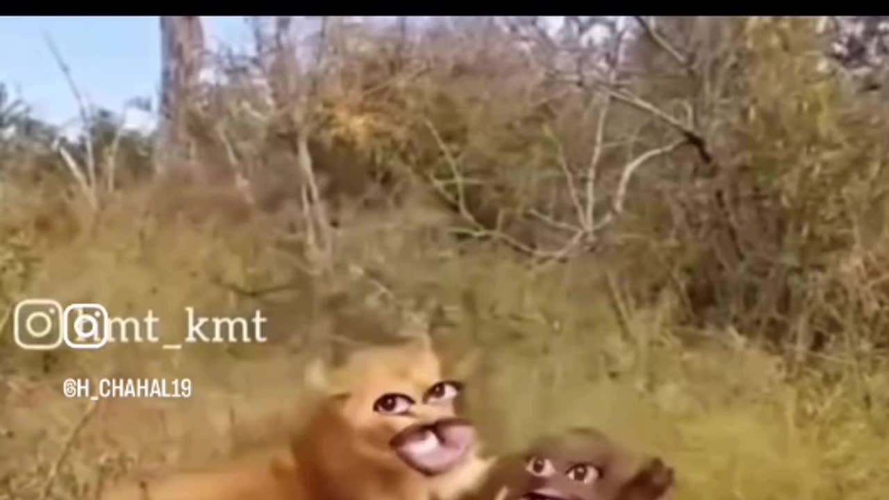 Funny