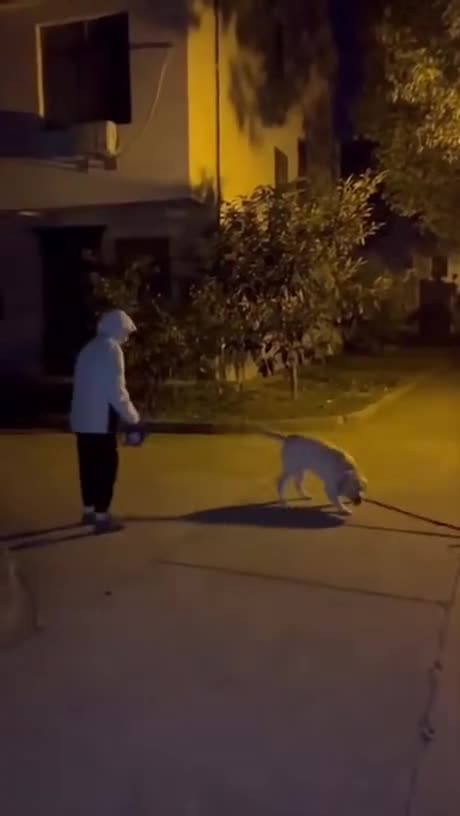 Let's 'play' it cool and have some fun right now! 💃🕺