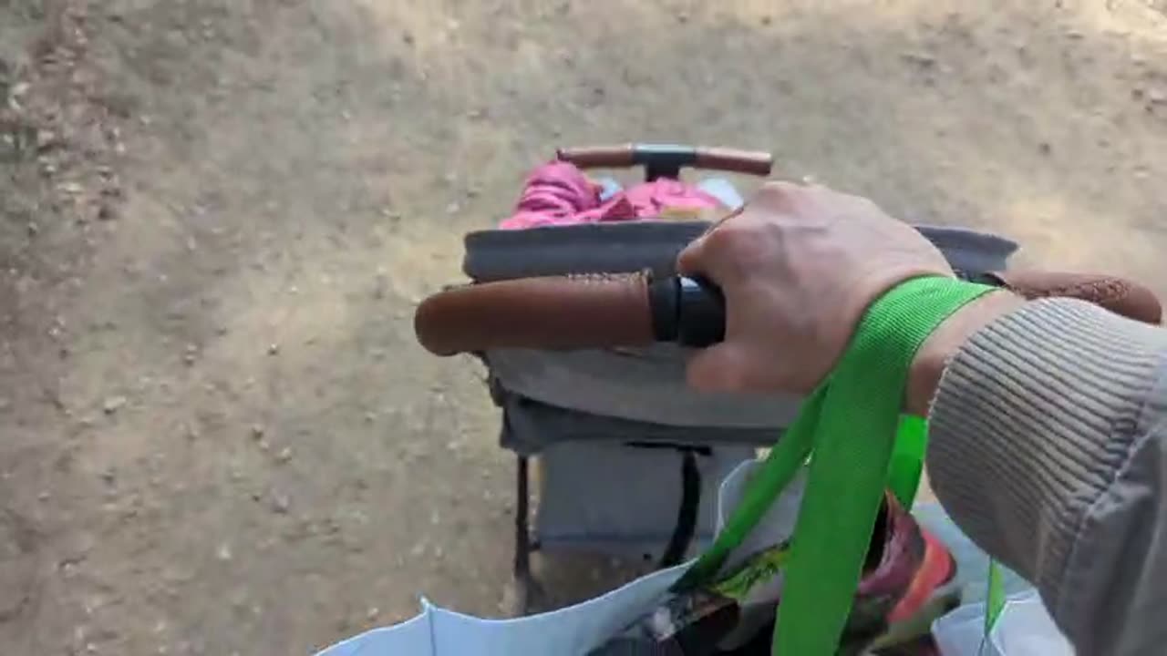 2023-03-07 (1) - travaux au zoo - Twitch Triskelina