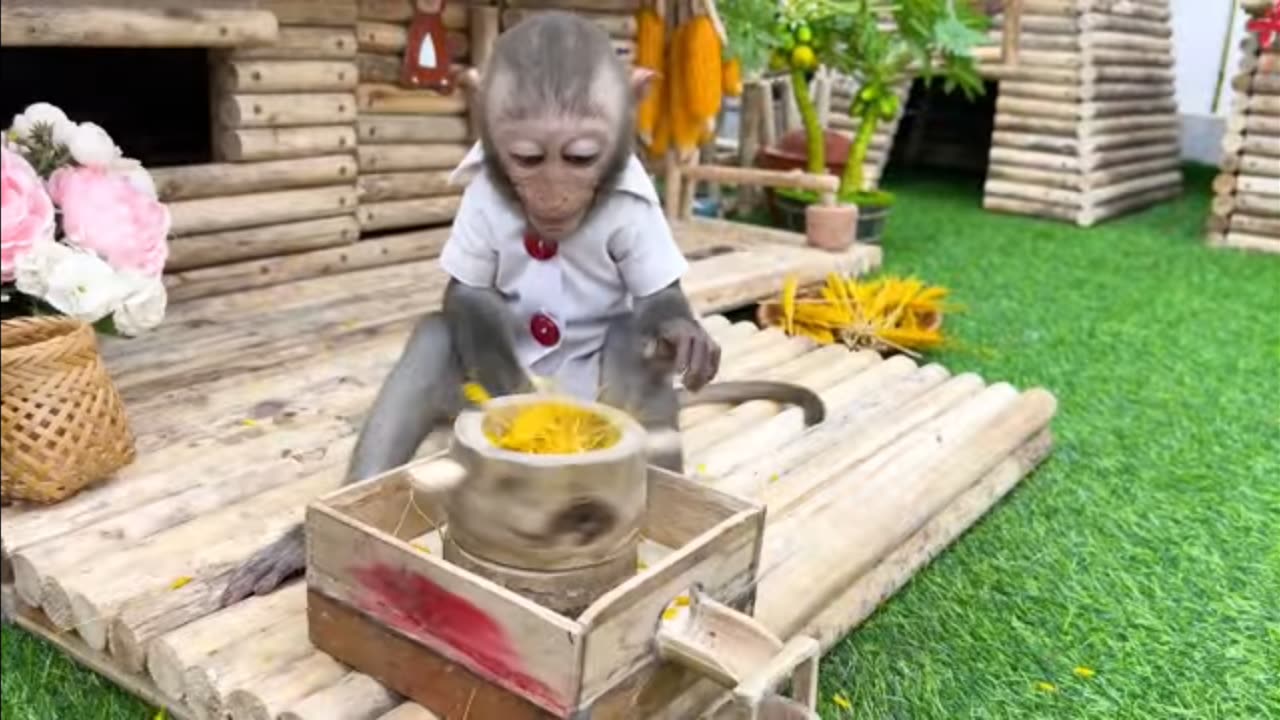 Monkey🐒🐥 enjoy picnic 🤗