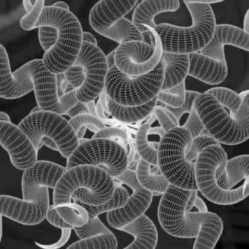 1 minute of Art in Motion