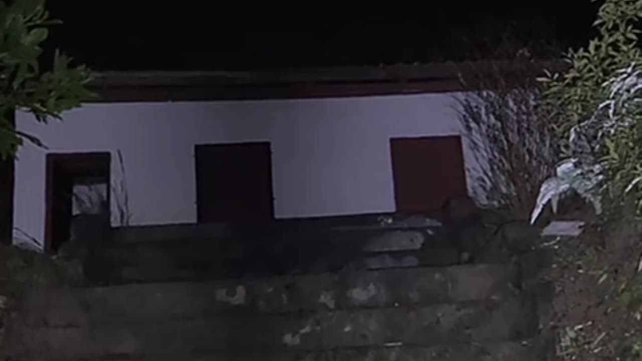 Ghost on camera paranormal activity part 115