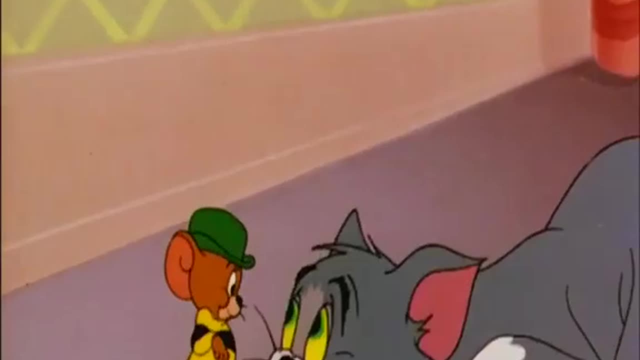 Tom and Jerry video