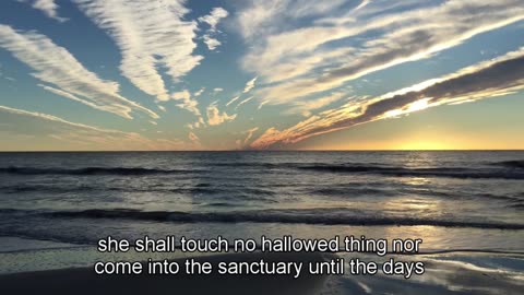 The bible-3-12-Leviticus