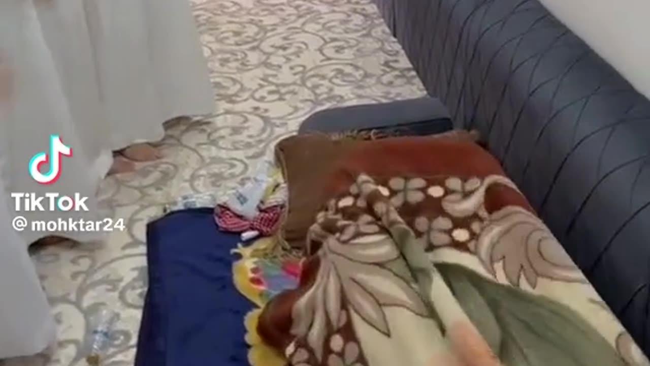 Funny video