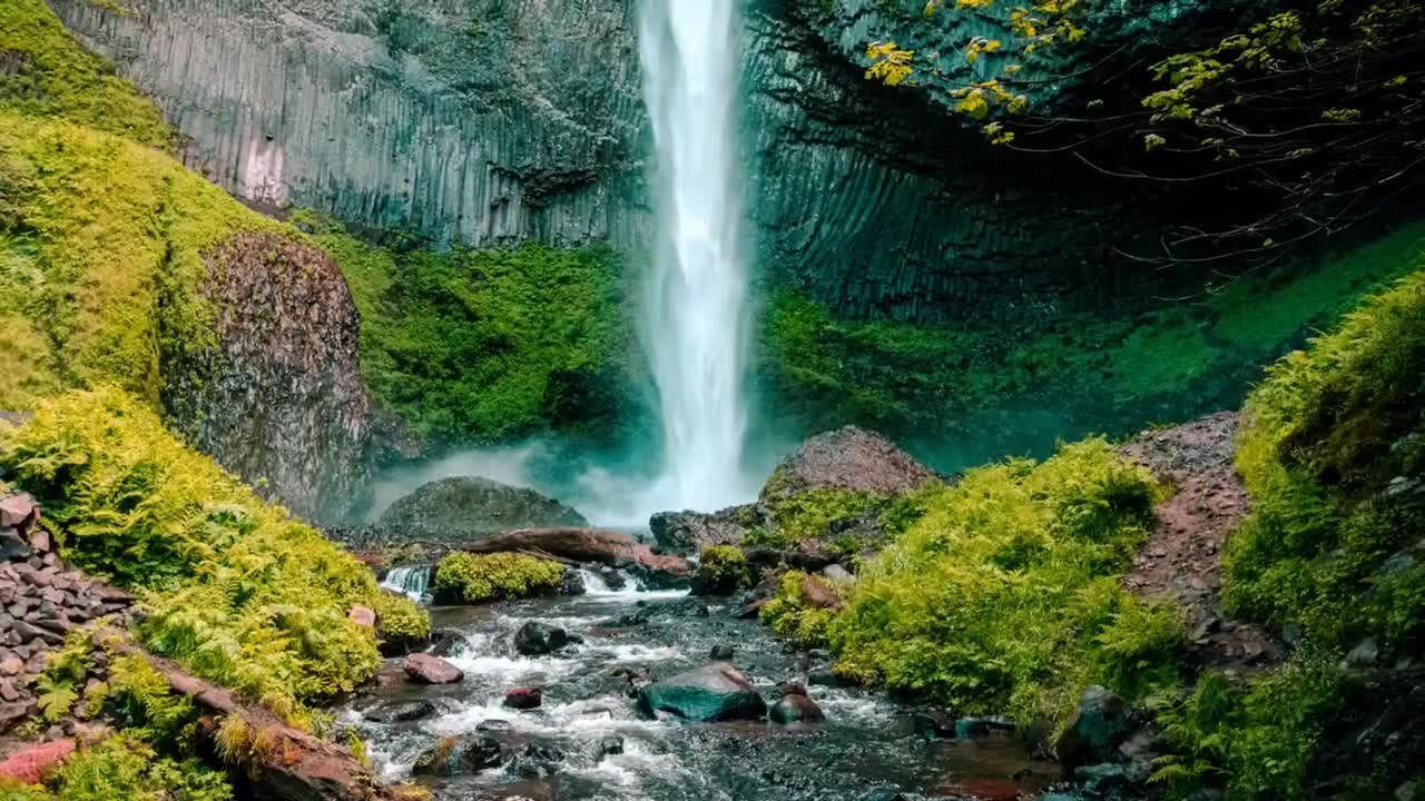 Relaxing Music | Sleeping, Meditation, Stress Relief | [992] ⭐️