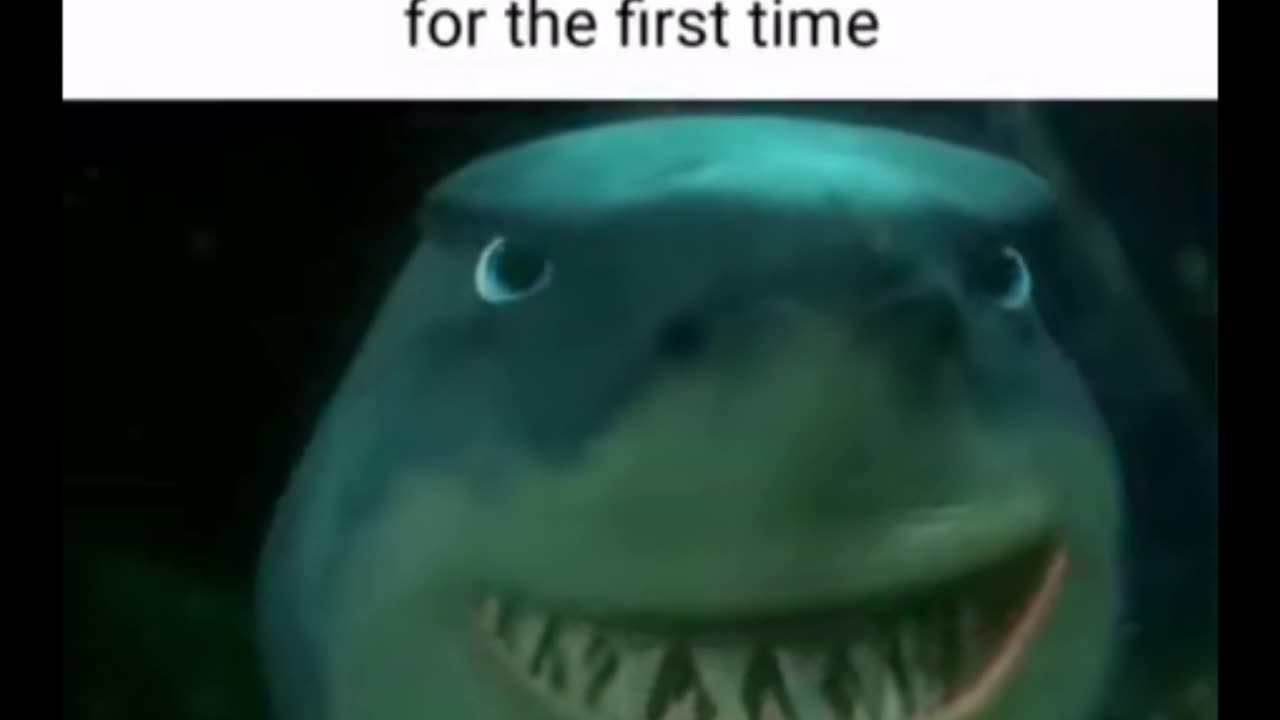 Random Memes 436