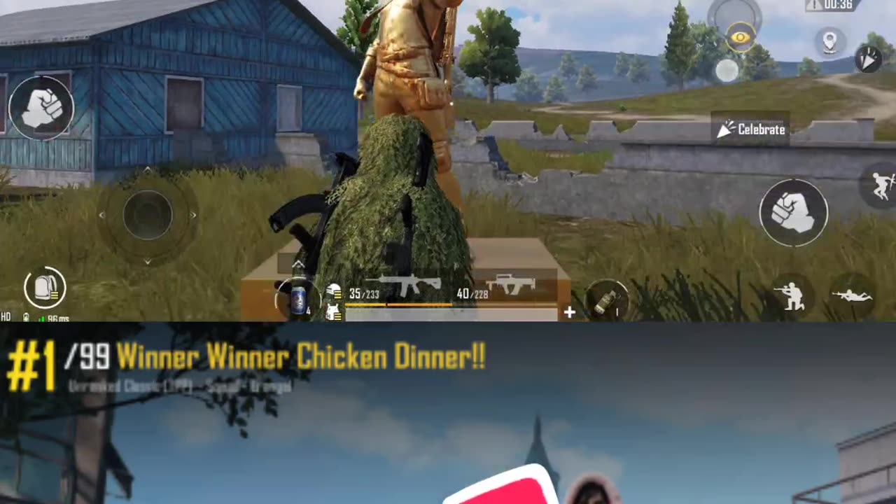 Bgmi chicken dinner