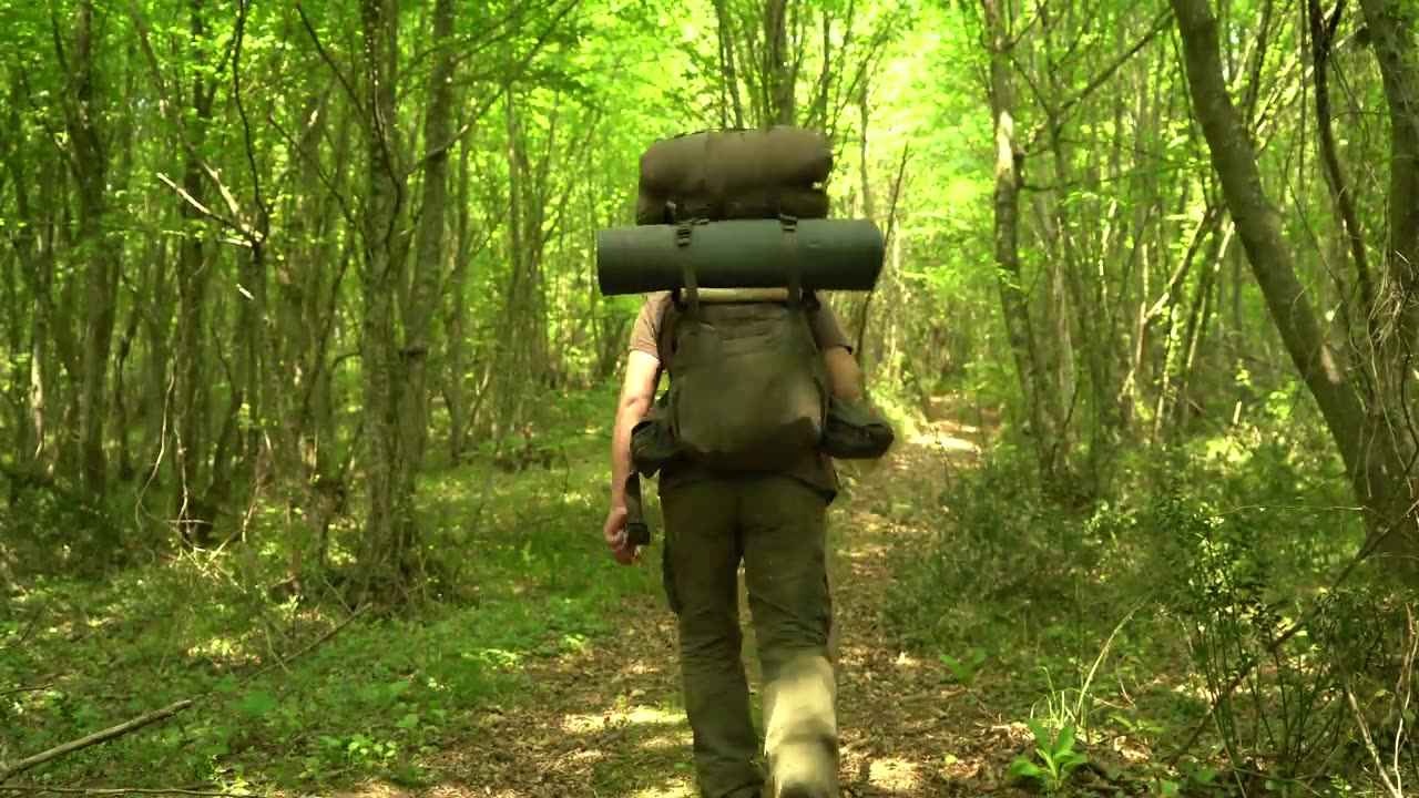 Building a Survival Shelter in a Forest - Camp food from natural herbs