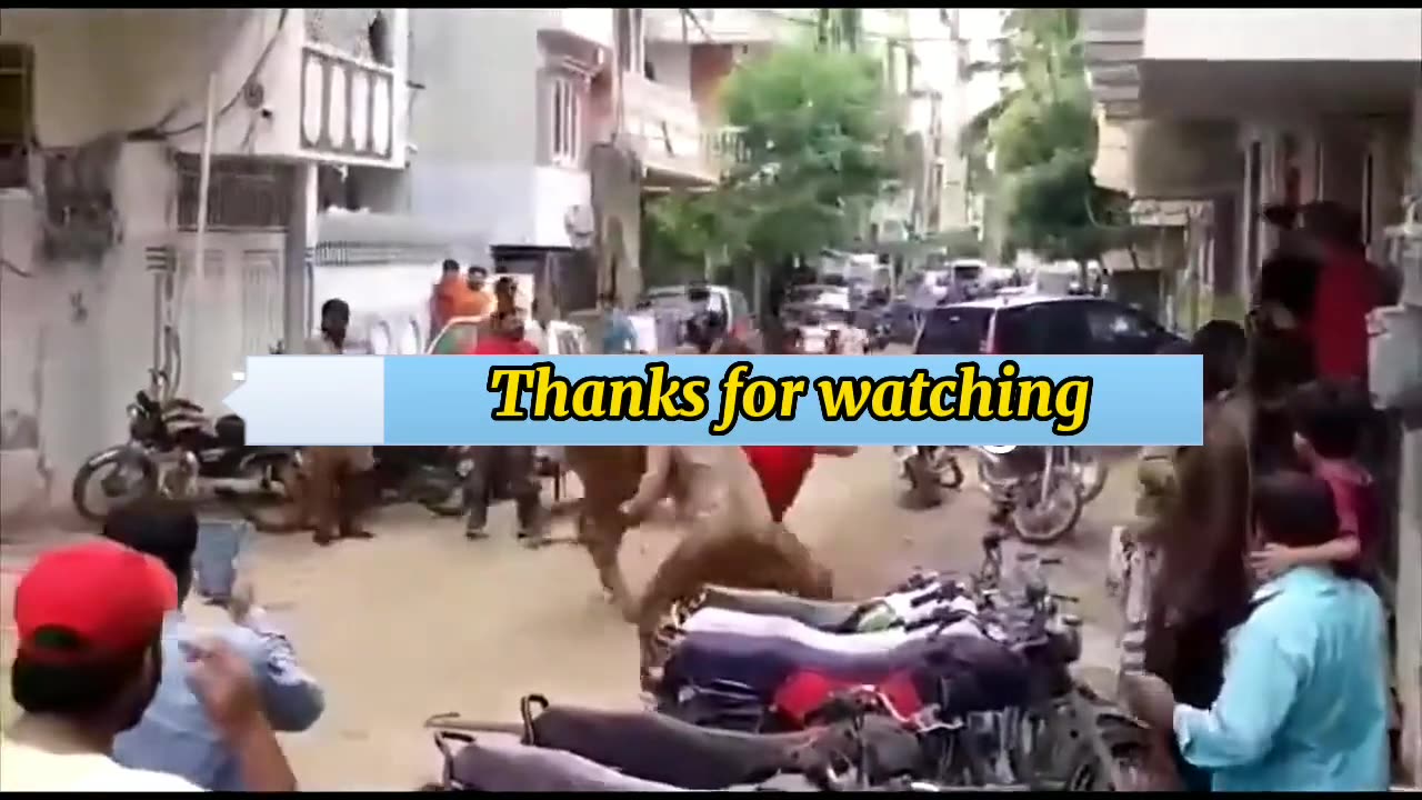 Best Funny Video 2023