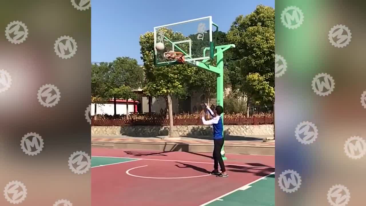 50 Incredible Moments Caught on Camera