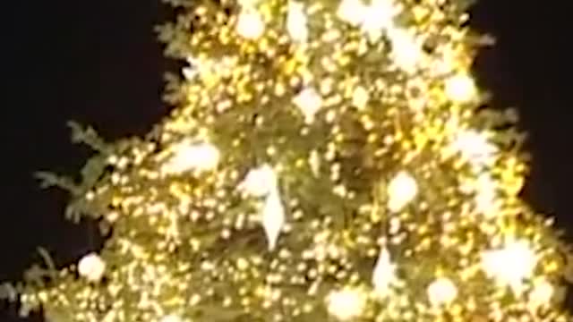 100TH NATIONAL TREE LIGHTING AT THE WHITE HOUSE