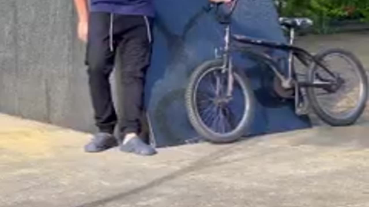 Bicycle trap #2
