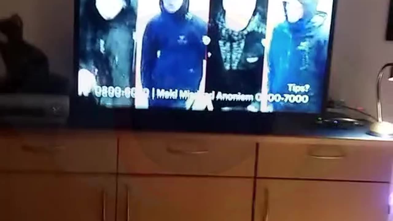 Typisch Theo kijkt Opsporing Verzocht