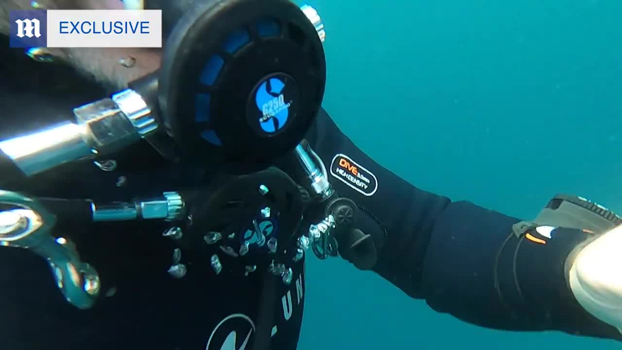 Diver captures poignant final moments with friendly seal, Kostis, before his brutal death in Greece