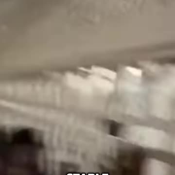 South Korea's Democratic Challenge: A Parliament in Turmoil