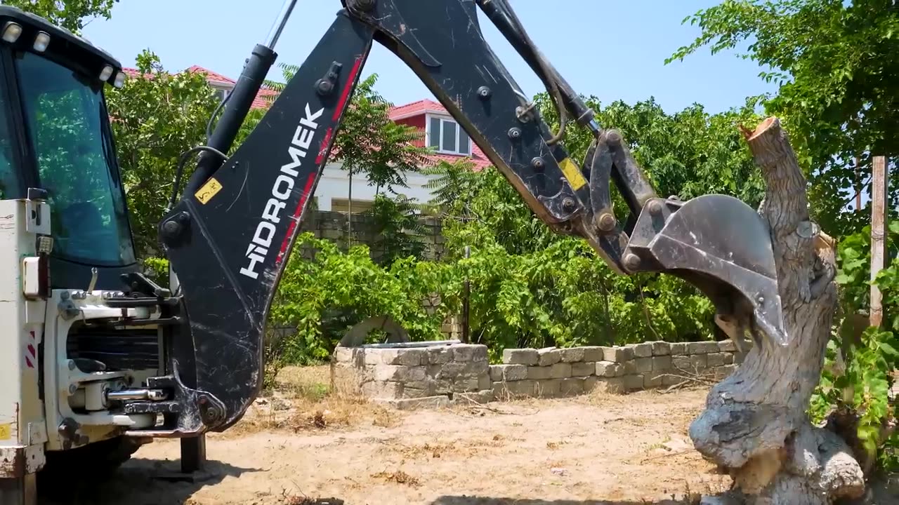 Cooking a Giant Beef Leg With A Tractor ! An Unusual Experiment