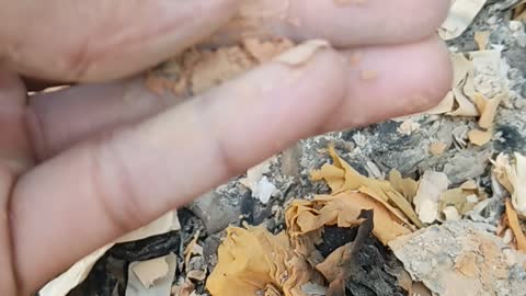 You won't believe that these are pieces of cloth ha ha ha