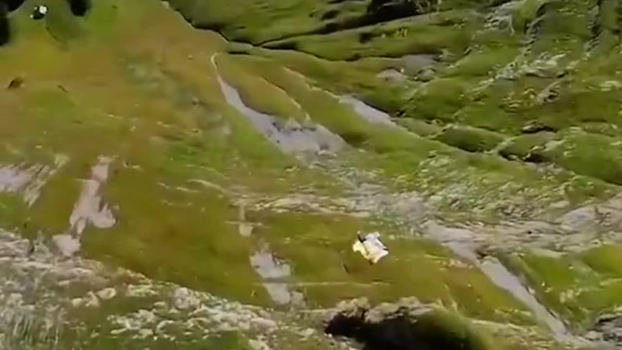 Sky diving
