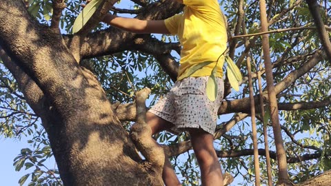 A village boy is having fun on a tree