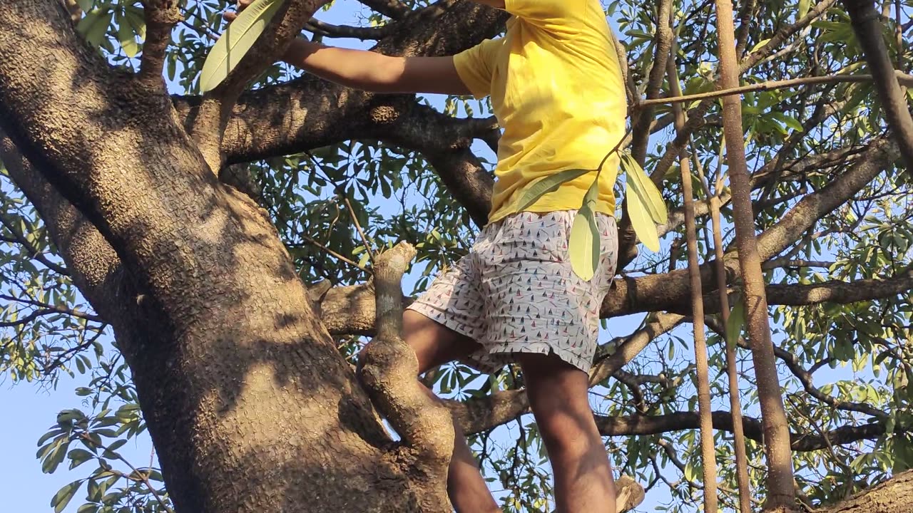 A village boy is having fun on a tree