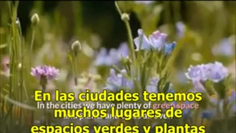 BIENVENIDOS A 2030 - N.O.M