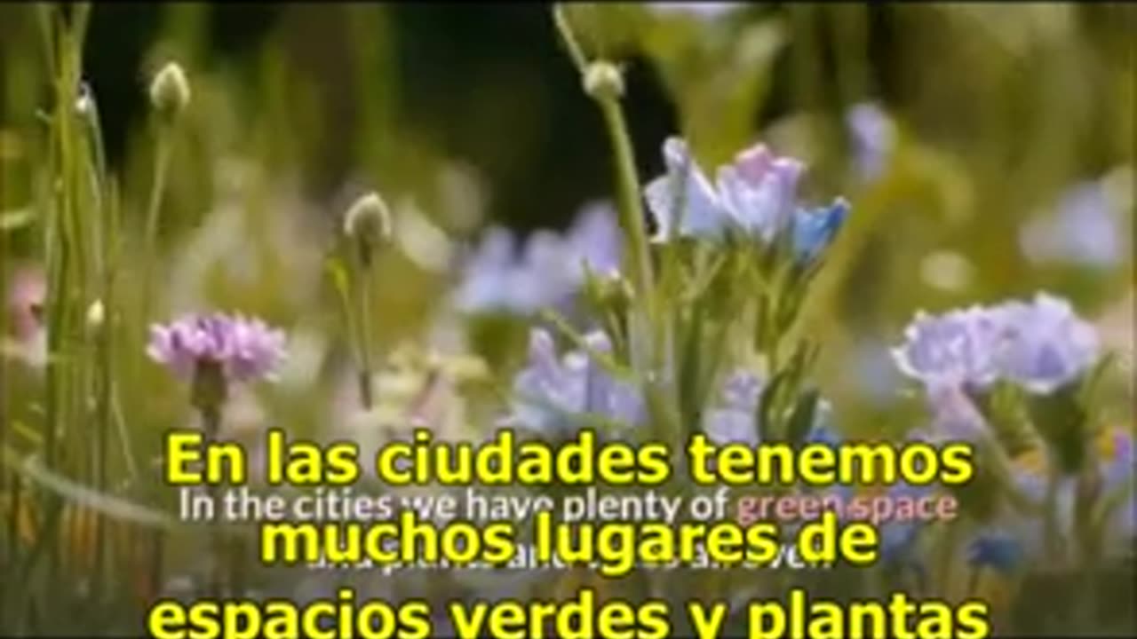 BIENVENIDOS A 2030 - N.O.M