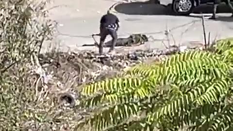 WARNING! Graphic scenes.