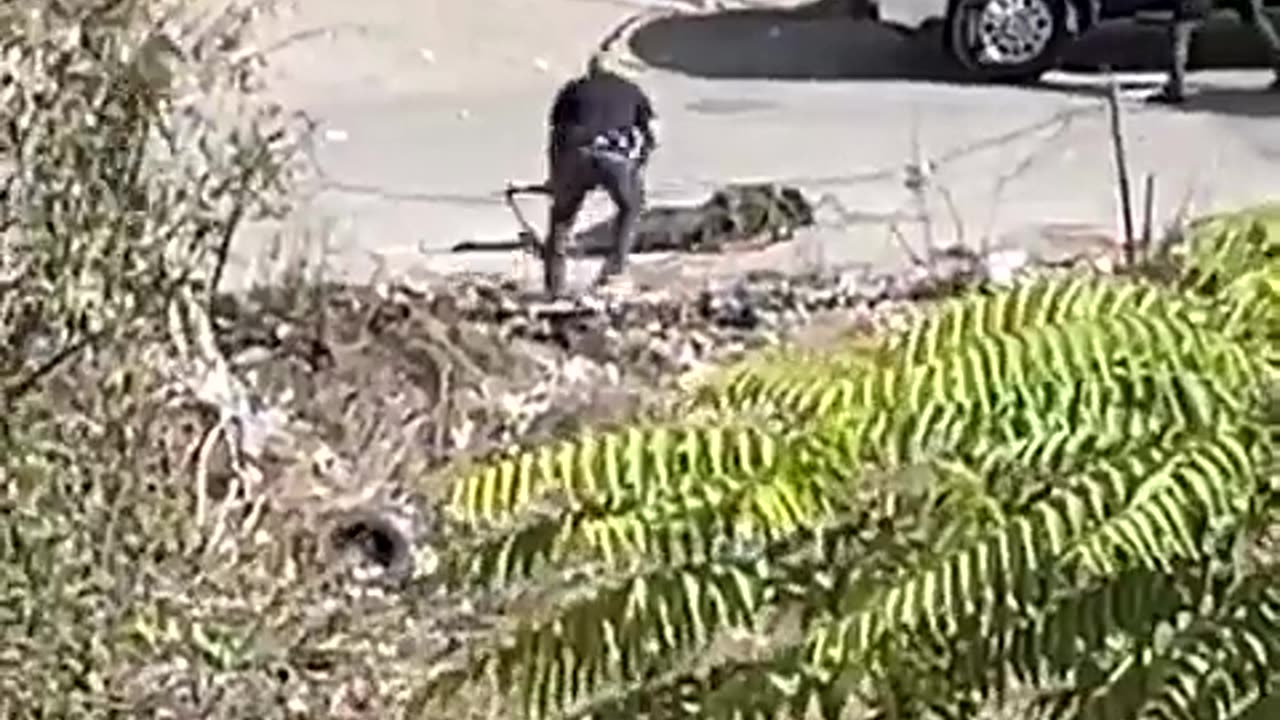 WARNING! Graphic scenes.