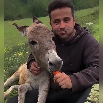 Its called true love story