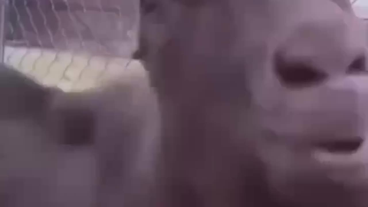 ЁЯФ┤рд▓рд╛рдЗрд╡ - рд╕рд╣реА рд░рд╛рд╕реНрддреЗ рдкрд░ рдмрдиреЗ рд░рд╣рдирд╛ЁЯЩПЁЯП┐ЁЯФ┤рднрдЧрд╡рд╛рди рдХреА рд╕реНрддреБрддрд┐ рдХрд░рдирд╛ред рдкрд╢реНрдЪрд╛рддрд╛рдк