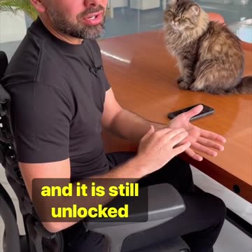 how to secure your phone from theeves