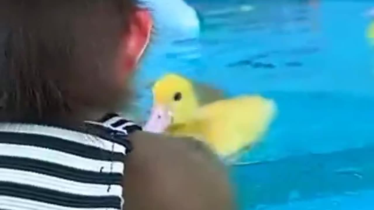 Monkey and duck latest funny 😀🤣 video