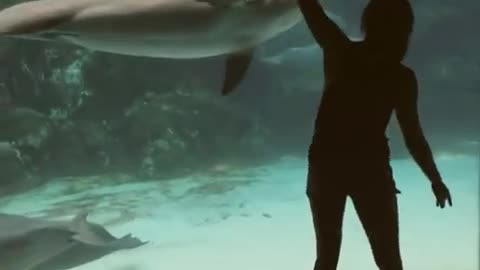 Girl Makes Dolphin Laugh (EXTENDED) ORIGINAL VIDEO_Cut